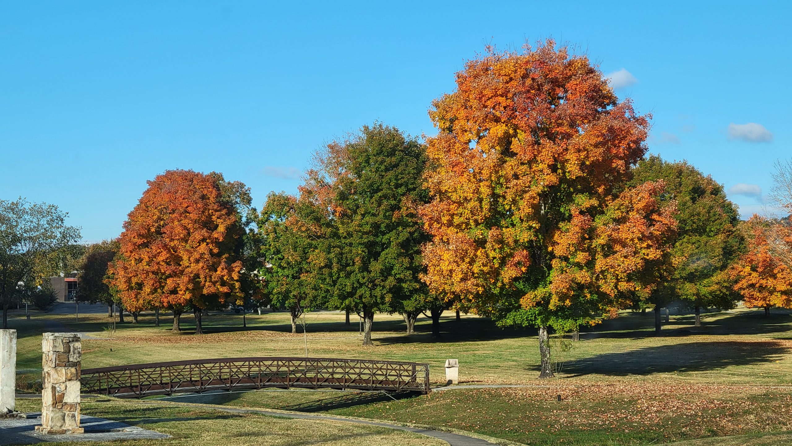 A welcoming outdoor scene